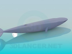 whale