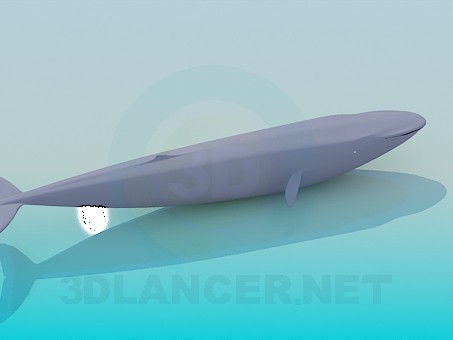 modello 3D Balena Blu - anteprima