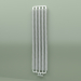 3d model Radiator Ribbon V (WGRIB0192049-ZX, 1920х490 mm) - preview