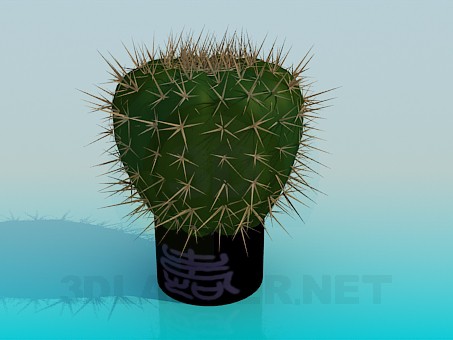 modèle 3D Cactus - preview