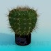 modèle 3D Cactus - preview