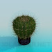 modèle 3D Cactus - preview