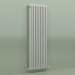 modèle 3D Radiateur TESI 3 (H 1500 10EL, gris Manhattan) - preview