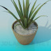 3d model Plant - preview