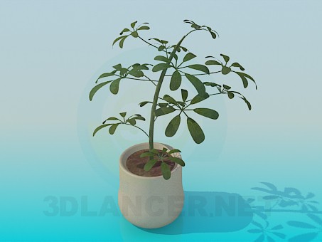 3d model Bote - vista previa