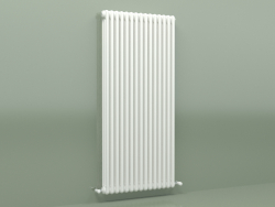 Radiator TESI 3 (H 1500 15EL, Standard white)