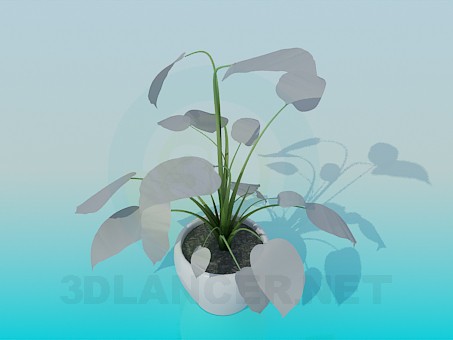 modello 3D Pianta da appartamento - anteprima