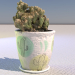 Cactus casero en maceta 3D modelo Compro - render