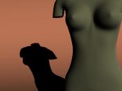 torso humano