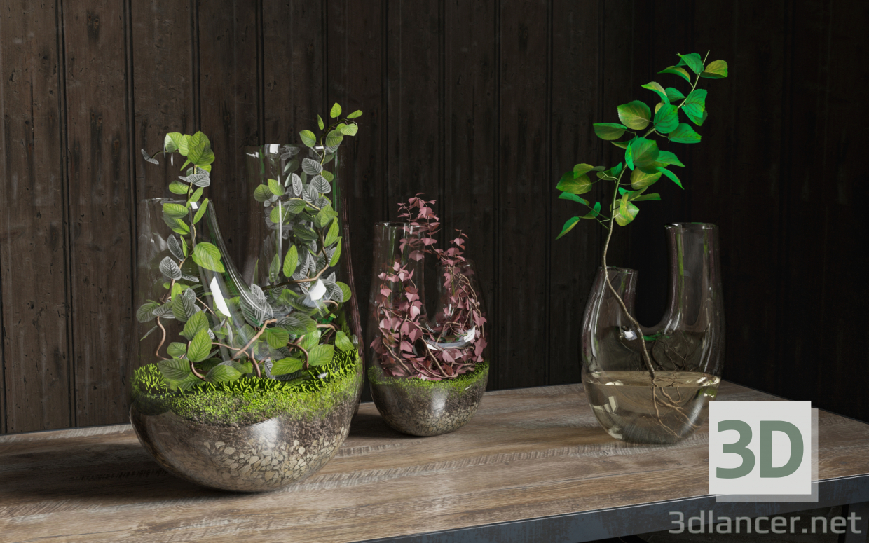 modello 3D di Terrario vegetale. SET PREVIEWNUM #