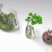 modello 3D di Terrario vegetale. SET PREVIEWNUM #