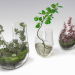 modèle 3D de Terrarium végétal. ENSEMBLE PREVIEWNUM #