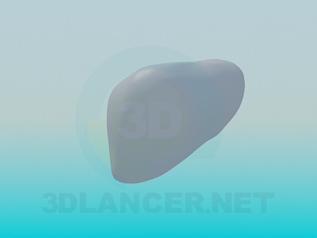 3d model Human liver - preview