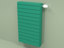 Radiateur - Faro H (FAH 20750 mm, RAL - 6016)