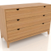 3d model Chest of drawers 1200x500 mm (natural oak) - preview