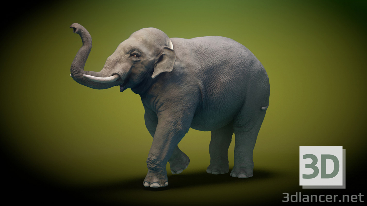 3d Asian Elephant Rigged Low-poly 3D model model buy - render