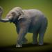 3d Asian Elephant Rigged Low-poly 3D model model buy - render