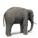 modèle 3D de Modèle 3D Elephant asiatique Rigged Low-poly acheter - rendu