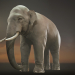 modello 3D di Asian Elephant Rigged Low-poly modello 3D comprare - rendering