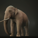 3d Asian Elephant Rigged Low-poly 3D model model buy - render