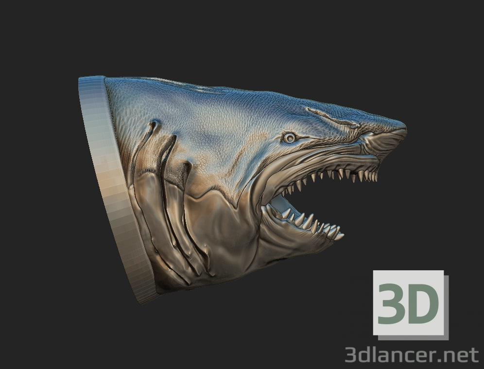 3d Shark model buy - render