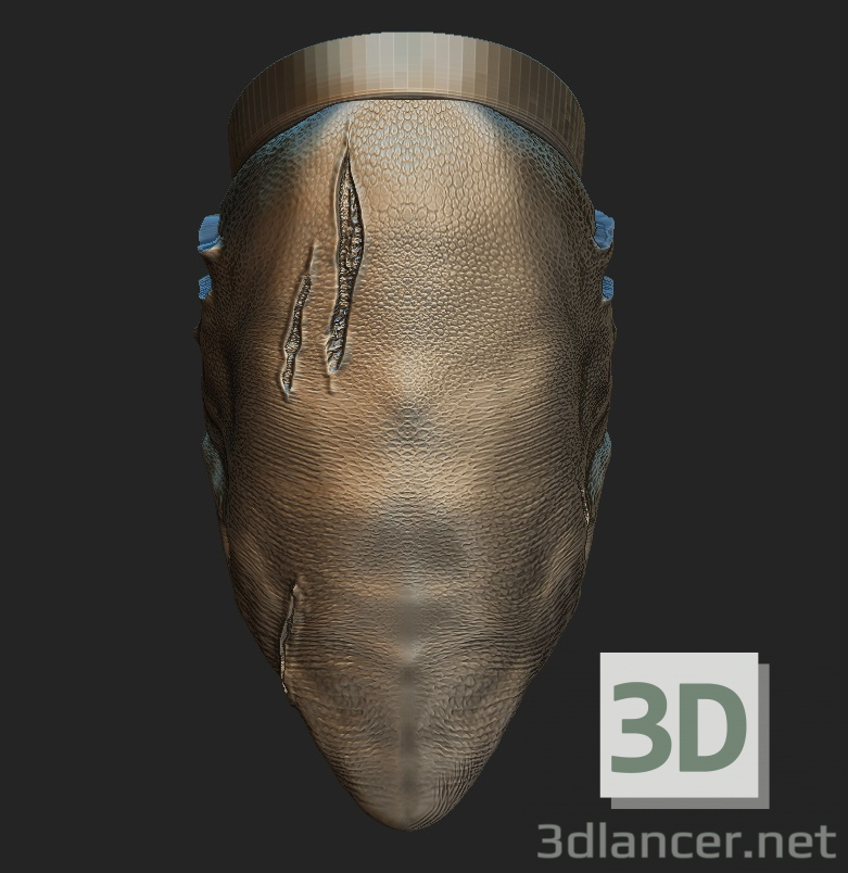 Hai 3D-Modell kaufen - Rendern