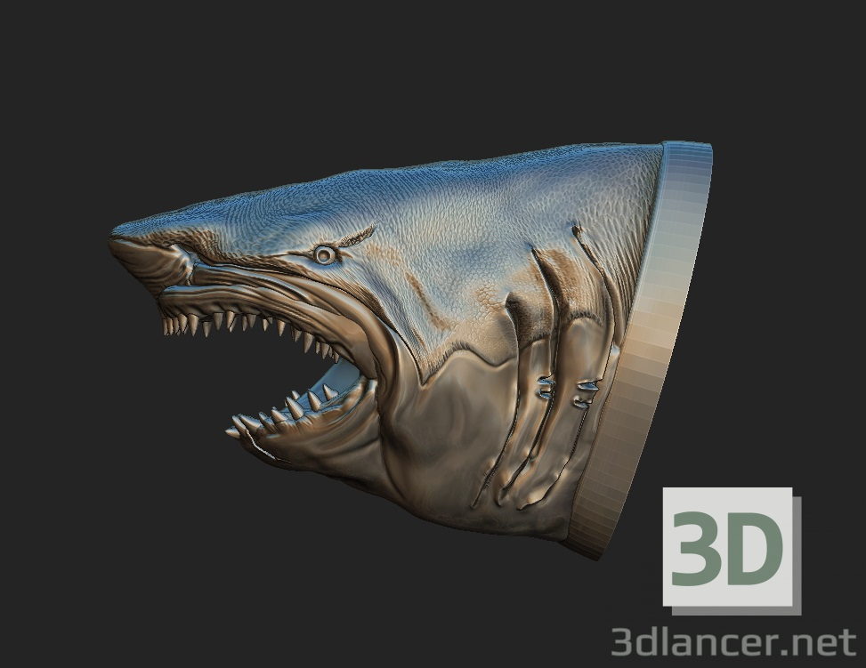 modèle 3D de Requin acheter - rendu