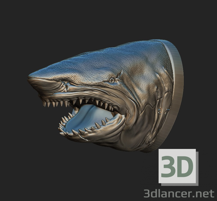 3d Shark model buy - render