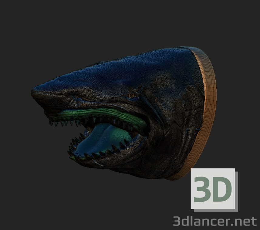 Hai 3D-Modell kaufen - Rendern