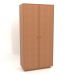 3D Modell Kleiderschrank B 04 (1005x501x2066, Holzrot) - Vorschau