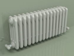 Radiator TESI 4 (H 300 15EL, Manhattan gray)