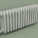 modèle 3D Radiateur TESI 4 (H 300 15EL, gris Manhattan) - preview