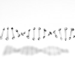 Das DNA-Molekül