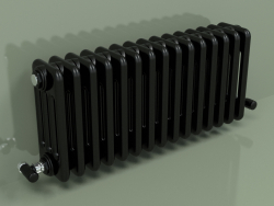 Radiator TESI 4 (H 300 15EL, Black - RAL 9005)