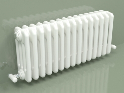 Radiator TESI 4 (H 300 15EL, Standard white)