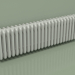 modèle 3D Radiateur TESI 4 (H 300 25EL, gris Manhattan) - preview