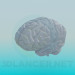 3d model The human brain - preview