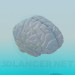 3d model The human brain - preview