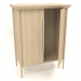 modèle 3D Armoire MS 04 (semi-ouverte) (940x565x1220, bois blanc) - preview