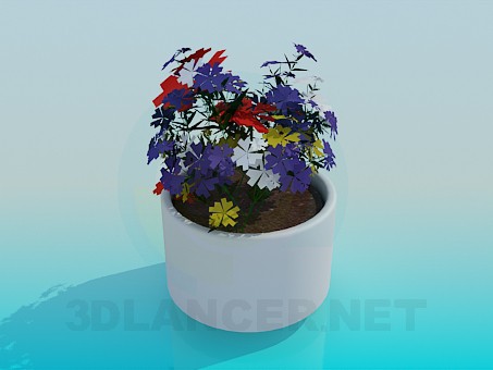 3D modeli Pot çiçekli - önizleme