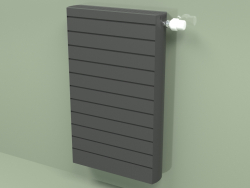 Radiator - Faro H (FAH 20 750 mm, RAL - 9005)