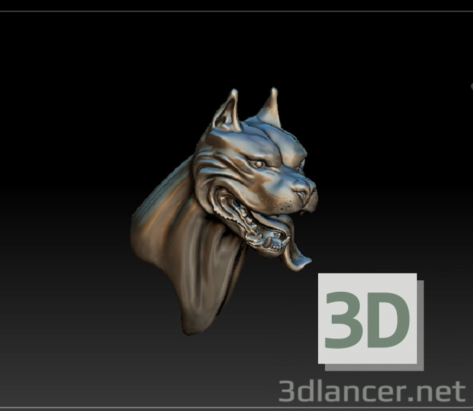 modèle 3D de pit-bull acheter - rendu