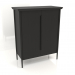 modèle 3D Armoire MS 04 (1114x565x1400, bois noir) - preview