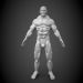 Modelo 3d Humana - preview