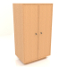 3D Modell Kleiderschrank B 04 (602x400x1082, Holz Mahagoni furniert) - Vorschau