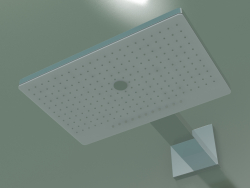 Overhead shower (24007400)