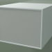 3d model Box (8AUABB01, Glacier White C01, HPL P02, L 48, P 50, H 36 cm) - preview