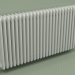 modèle 3D Radiateur TESI 4 (H 600 25EL, gris Manhattan) - preview