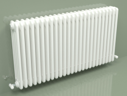 Radiator TESI 4 (H 600 25EL, Standard white)