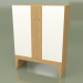 3d model Wardrobe STRIP NEW (oak ral 9003 face vertical) - preview